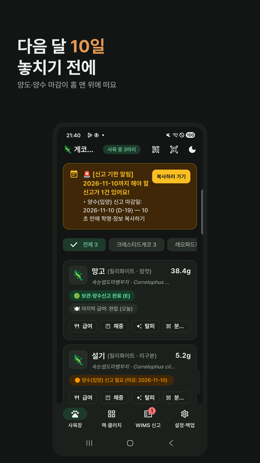 홈 화면. 11월 10일까지 양수 신고 1건이 위에 있습니다.