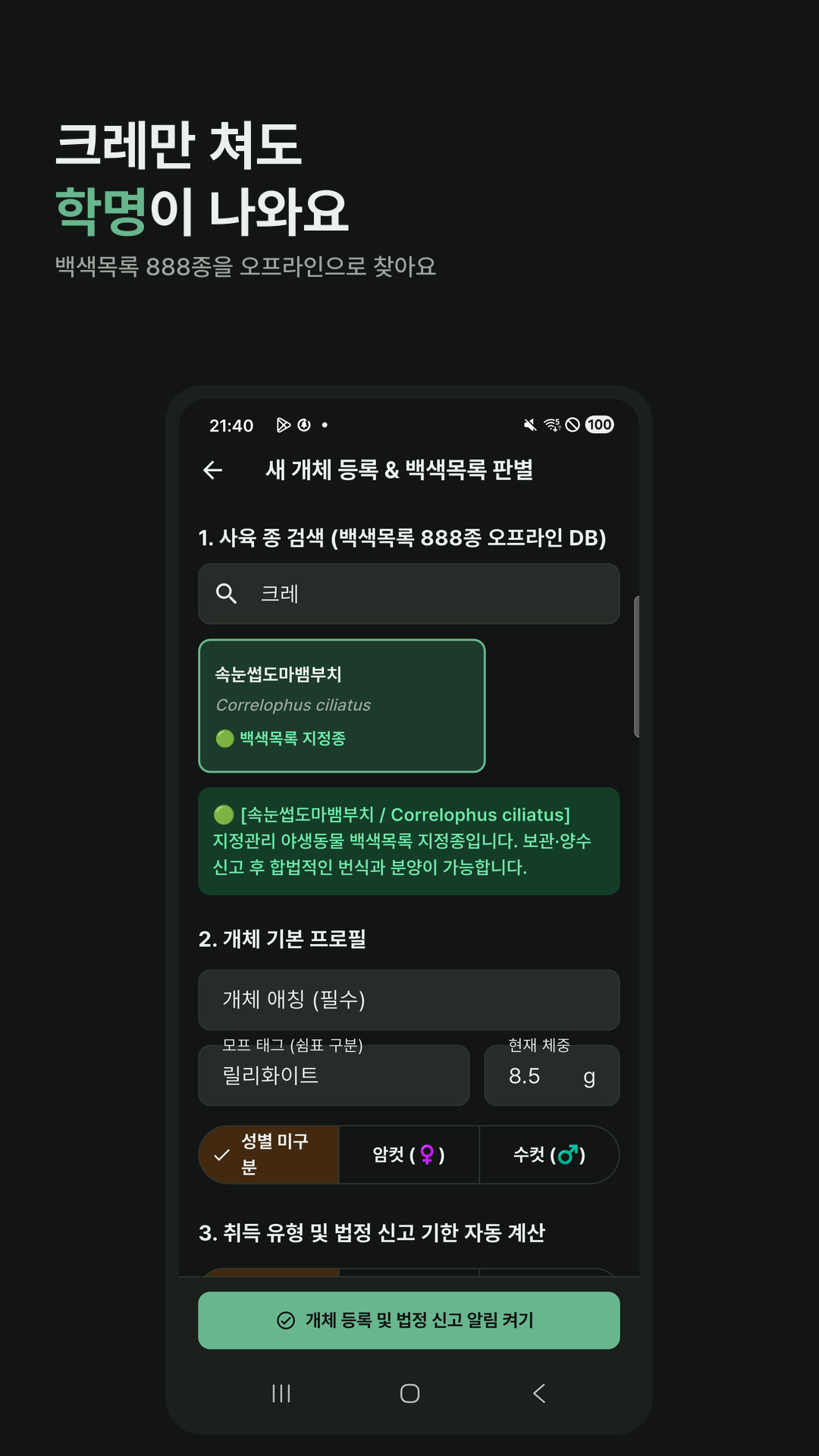 검색 화면. 크레를 치면 속눈썹도마뱀부치와 학명이 나옵니다.